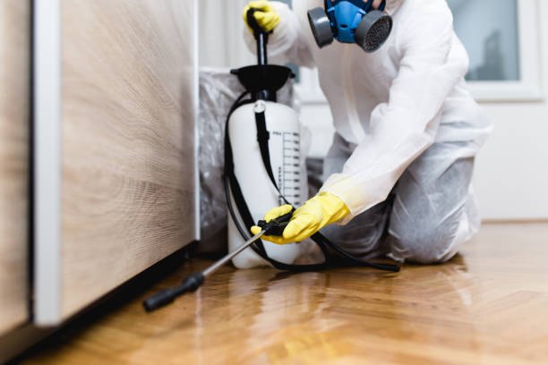 Best Pest Prevention Services  in Pine Hills, CA