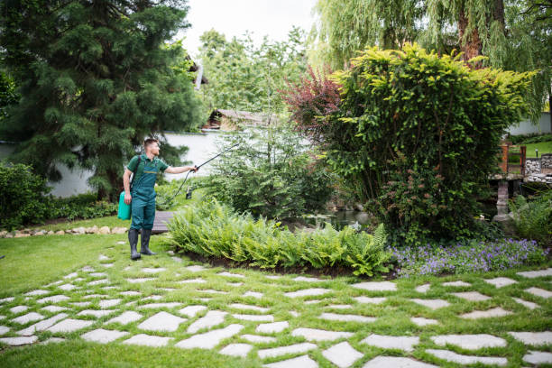 Best Best Pest Control Companies  in Pine Hills, CA