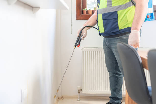 Best Local Pest Control Services  in Pine Hills, CA