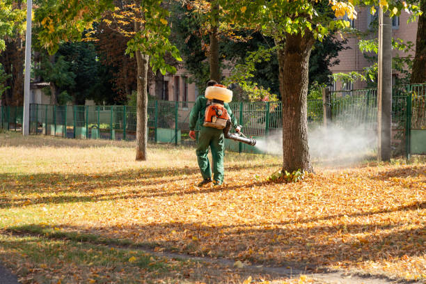 Wasp Removal Services in Pine Hills, CA