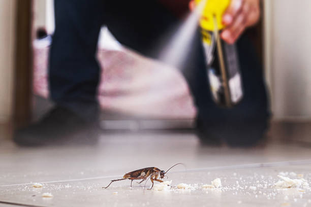 Best Wildlife Control Services  in Pine Hills, CA