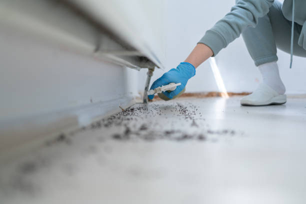Best Commercial Pest Control Services  in Pine Hills, CA
