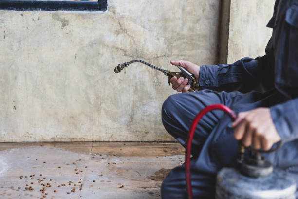 Best Rat Extermination Near Me  in Pine Hills, CA